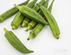 秋葵功效与作用有哪些