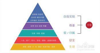 什么叫软件外包?