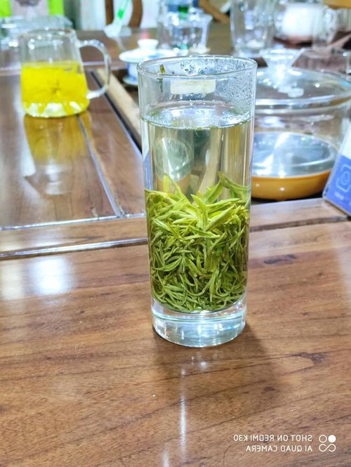 山东绿茶

