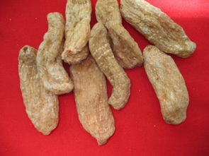 野生天麻长什么样