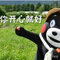 “你开心就好”用英语怎么说?