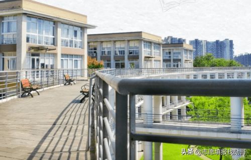 川大就业网
