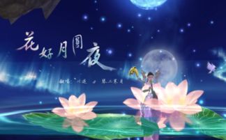 花好月圆夜歌词是什么?