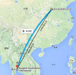 货代中cgo是什么意思