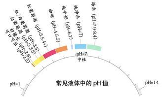 ph是什么意思
