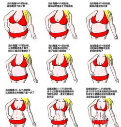 如何降低体脂率
