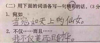 成了造句
