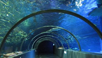 大连海底隧道
