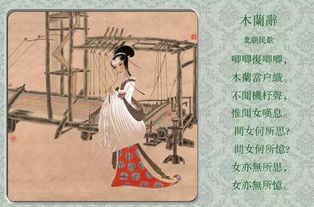 关山度若飞
