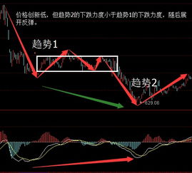 股票跌停了还能卖出吗