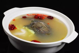 江湖悠悠养生滋补食谱是什么?