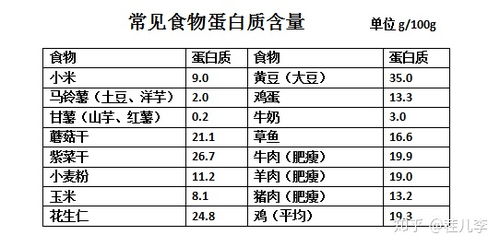 什么蛋白质含量高
