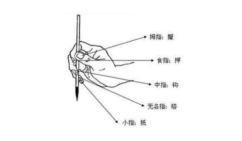 毛笔的握笔姿势

