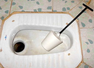 蹲厕堵了怎么办
