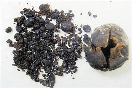 麝香的价格

