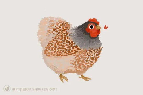 歌曲《母鸡咯咯哒》
