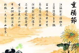 重阳节的寓意是什么意思
