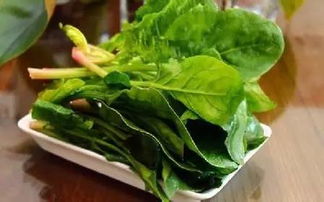 菠菜和南瓜可以一起吃吗
