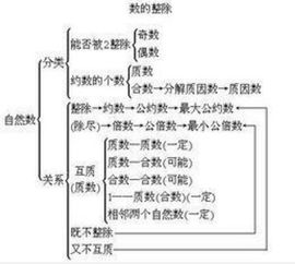 负数是不是自然数