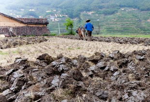 一公顷等于多少亩土地
