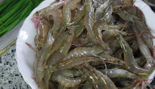 河虾和海虾的区别