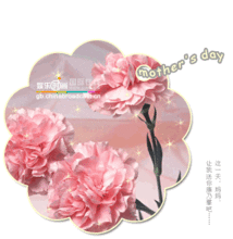 给妈妈送花送什么花