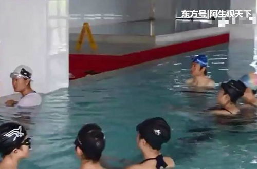 上海学游泳多少钱
