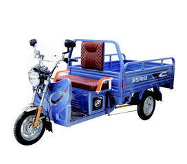 宝岛电动三轮车
