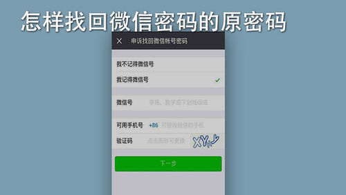 怎样找回微信密码的原密码
