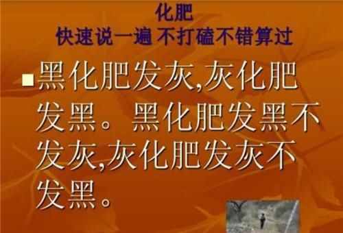 黑化肥会挥发绕口令
