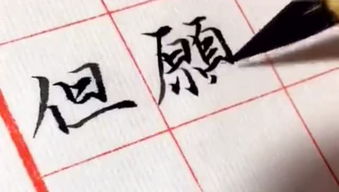 手字组四字成语