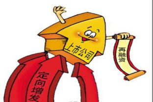 股票定向增发价格怎么定?