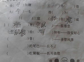 什么的荷叶填合适的词
