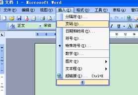 如何在word中设置公文格式要求的页码