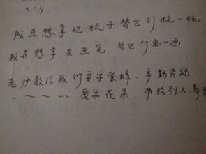 好句子怎么写