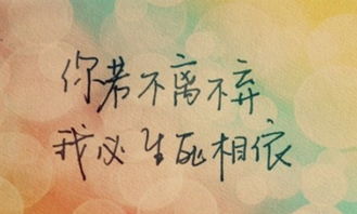 “你若不离我定不弃”的下一句是什么?