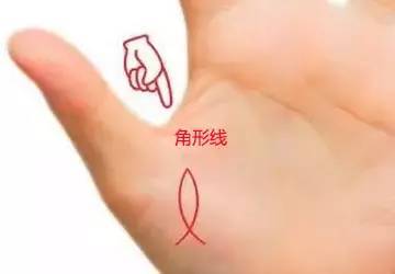 手上三根线分别是什么线?