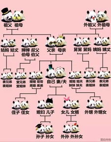 姐姐的丈夫称名什么 姐姐的丈夫怎么叫法