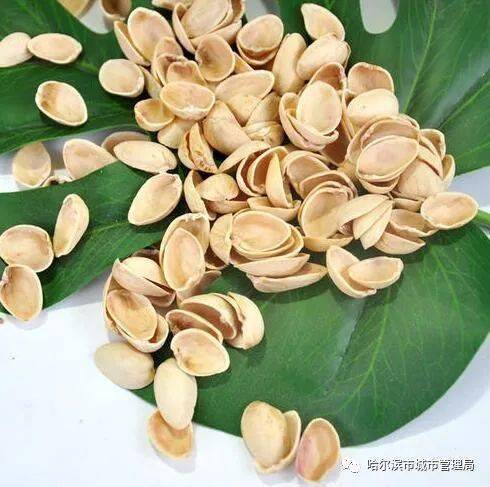 开心果壳是什么垃圾
