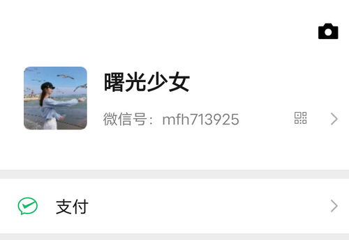 衰草连天什么意思
