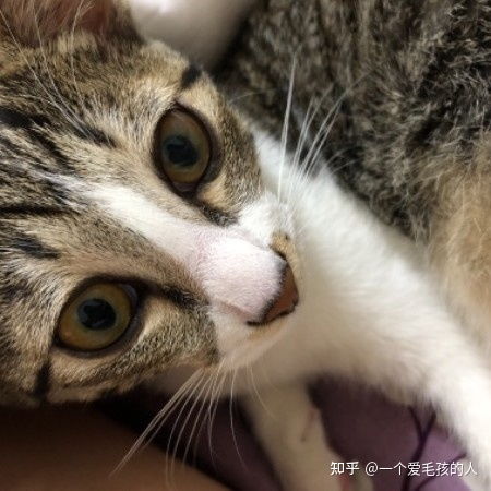 眼睛模糊是怎么回事呢