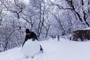 冬天为什么会下雪
