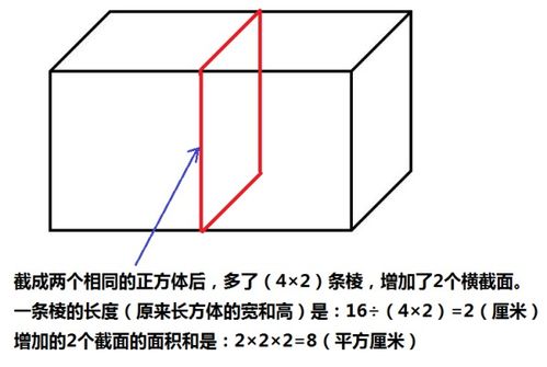 长方形和正方形的表面积公式