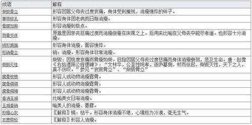 形容瘦的成语
