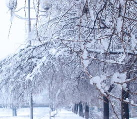 冬天为什么会下雪答案