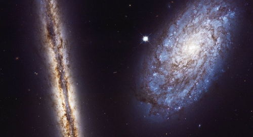 nasa是什么
