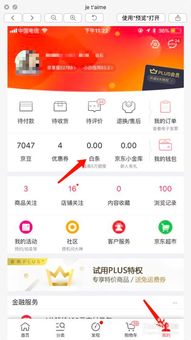 京东上开通白条是什么意思