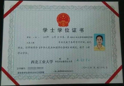 工学学士学位什么意思
