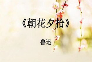 《朝花夕拾》收录了鲁迅哪10篇文章?