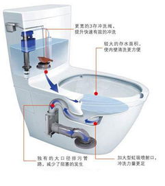 虹吸式
